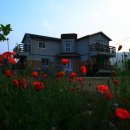 시냇가펜션 이미지