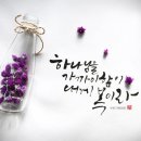 향기교회