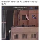 [팩트]세월호, 이태원, 부정선거, 무안공항 민주당 테러 이미지