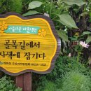 경진자동차정비공업사 이미지