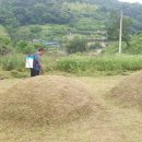 보성약품 이미지