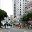 수원빈센트약국 이미지
