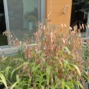 테라스풍경 이미지