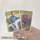 ㈜수원클린모터스 | 출시되자마자 구입한, K리그 2024 파니니 카드 개봉 후기 - 재고 파악 방법, 가격, 할인, 구성, 재밌는 점
