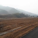 산동면 평선마을 이미지