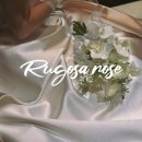 로즈 | 💍 아이폰스냅 루고사로즈 본식 후기(프리미엄+대표지정)