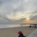 (주)다정한마켓 | 멜버른 5월 여행 코스 3박 4일 일정 추천