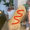 왕개상점