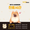 양구동물병원