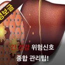 간 건강 위험신호 종합 관리팁 이미지