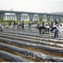 한강가족농장 이미지