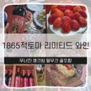 1865 | 이마트 행사템으로 완성한 홈파티 후기｜1865 적토마 리미티드 에디션 &amp; 무너진 생크림 딸무크 케이크