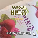 흙내음농장 | 비트즙 생비트 100% 레드비트즙 레드비트 우솔농장