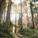 편의점(솔마루) 이미지