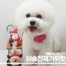 개털깎는집 이미지