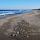 동해바다 이미지