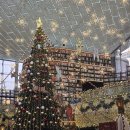 컴백 | 아일릿 컴백 첫주 후기