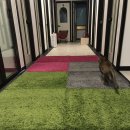 위대한캣츠빌 이미지