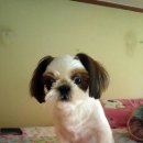 송파구보훈회관 이미지