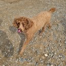 죽빵훈련소 이미지