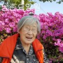 남촌약국 이미지