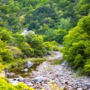 숲속의하얀집 이미지