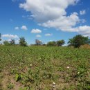 목화석재 이미지