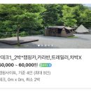 영월 펫힐링 달빛동물원 캠핑장 후기, 5월 특별 정보 포함 추천 이유 3가지