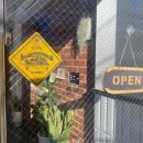 사파동119 | 창원 맛집 :: 호주식 브런치 맛집 파스타가 맛있는 사파동 '벨그레이브'