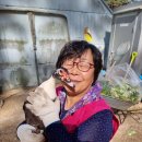 동녁골농장 이미지