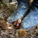 개포4-106 이미지