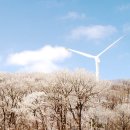 삼양목장 이미지