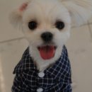 개린이 집합소 이미지