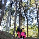 10/28(화)[목포]서해랑길 19-18코스 A조＜16.3km＞ 이미지