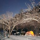 양평숲 비룡캠프장 이미지