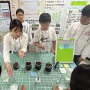 삼덕초등학교 이미지