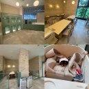 펫아울렛 | 기흥아울렛 애견동반식당 펫그라운드 후기