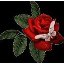 나비야함평가자 이미지