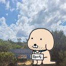 [✈️호주여행] 7. 시드니 7박8일🌐3일차 일정+경비 공유