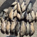 성호낚시터 이미지