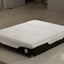 벨라플렉스 이미지