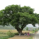 복탄보건진료소 이미지