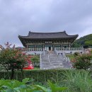 옛골 Daum카페