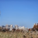 탑플러스공인중개사사무소 이미지