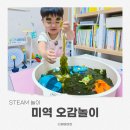 오감연결길 | 미역오감놀이 미끌미끌 촉감놀이 집콕 과학 활동