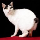 스카이동물병원 이미지