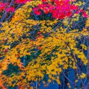 청계산수변공원 이미지