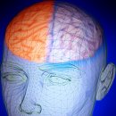﻿Neuromyths: 뇌에 대한 6가지 오해 이미지