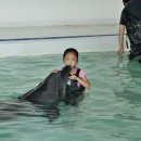 마린파크 이미지