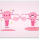움직임요가&필라테스 네이버블로그